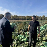 Хозяйство Ягодкиных Анны и Ильи в д. Пеньково